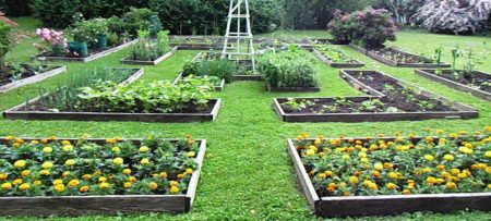 Larg grassy area with multiple plots of garden beds with vegetables and flowers