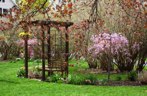 Small wooden structure with a wooden bench in a garden of flowers and red maple trees.