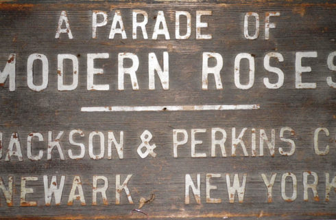 Antique wooden sign with white text: A Parade of Modern Roses - Jackson & Perkins CO Newark, New York.