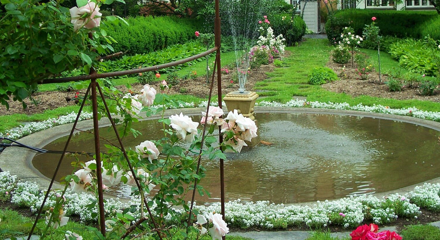 Picture of a pond.